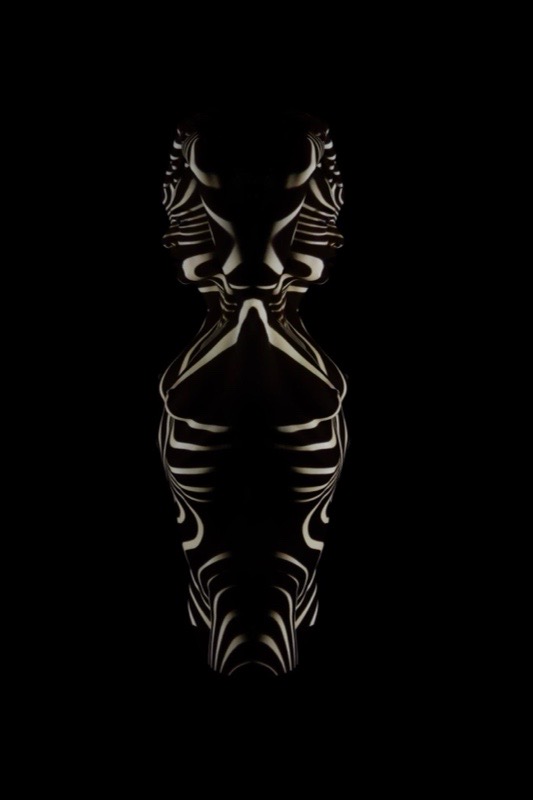 Photographie Totem de Philippe Wojazer