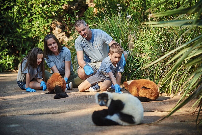 Animaux du Zoo de la Flèche